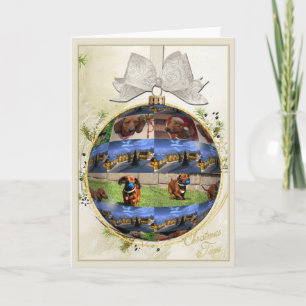 Dachshund Christmas Card