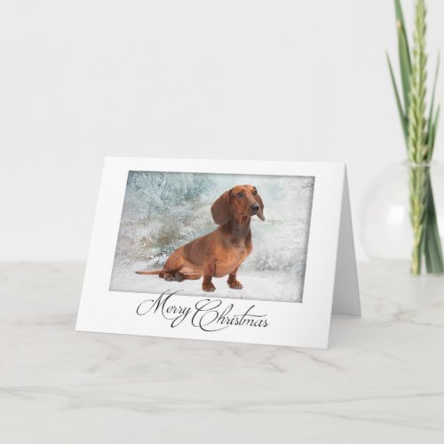 Dachshund Christmas Card