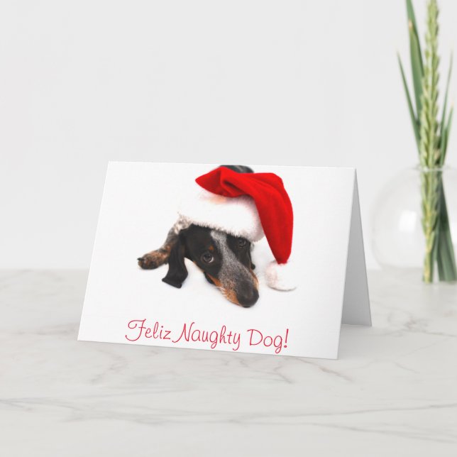 Dachshund Christmas Card (Front)