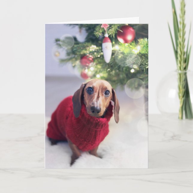 Dachshund Christmas Card (Front)