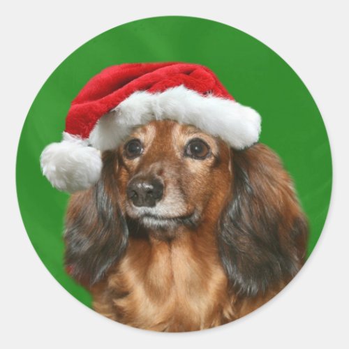 Dachshund Christmas Classic Round Sticker