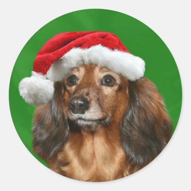 Dachshund Christmas Classic Round Sticker (Front)