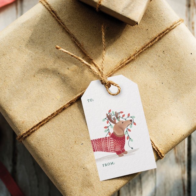 Dachshund Christmas Dog Cozy Sweater With Lights Gift Tags (Dachshund Christmas Dog Cozy Sweater With Lights Gift Tags)