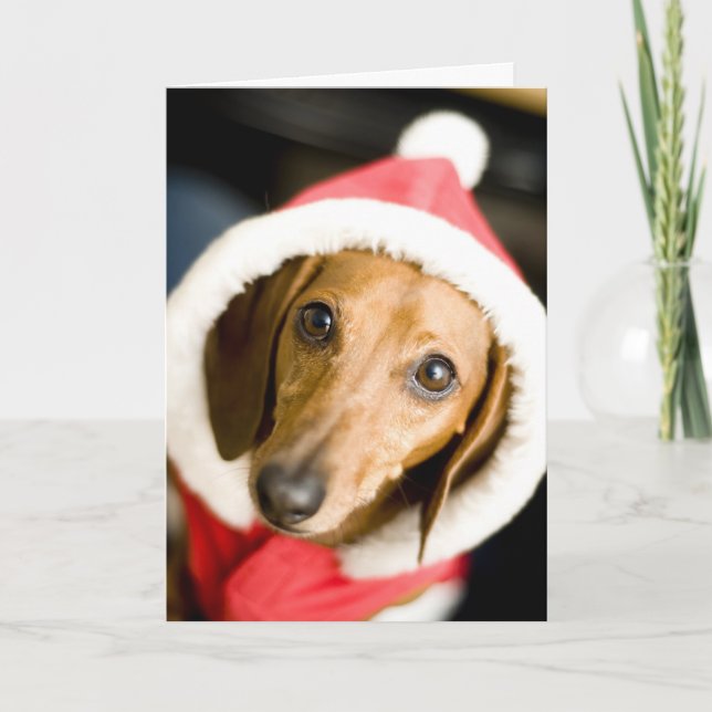 Dachshund Christmas Holiday Card (Front)