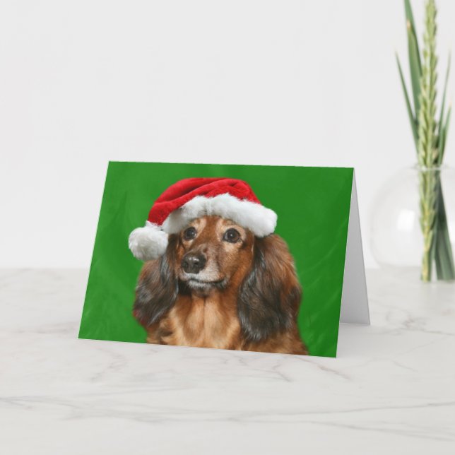 Dachshund Christmas Holiday Card (Front)