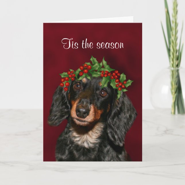 Dachshund Christmas Holiday Card (Front)