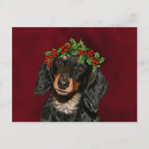 Dachshund Christmas Holiday Postcard