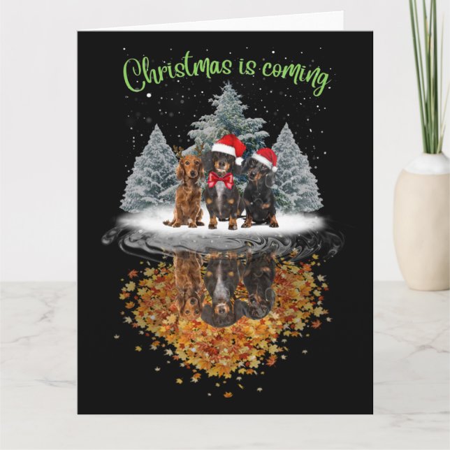 Dachshund Christmas Is Coming Cute Dog Graphic Tee Card (Front)