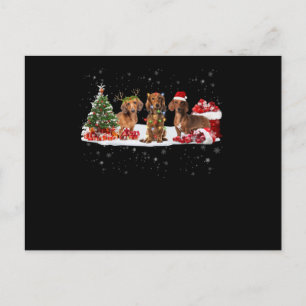 dachshund christmas lights gift for her postcard