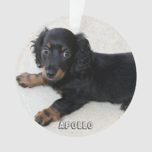 Dachshund Christmas Ornament Acrylic Add Photo