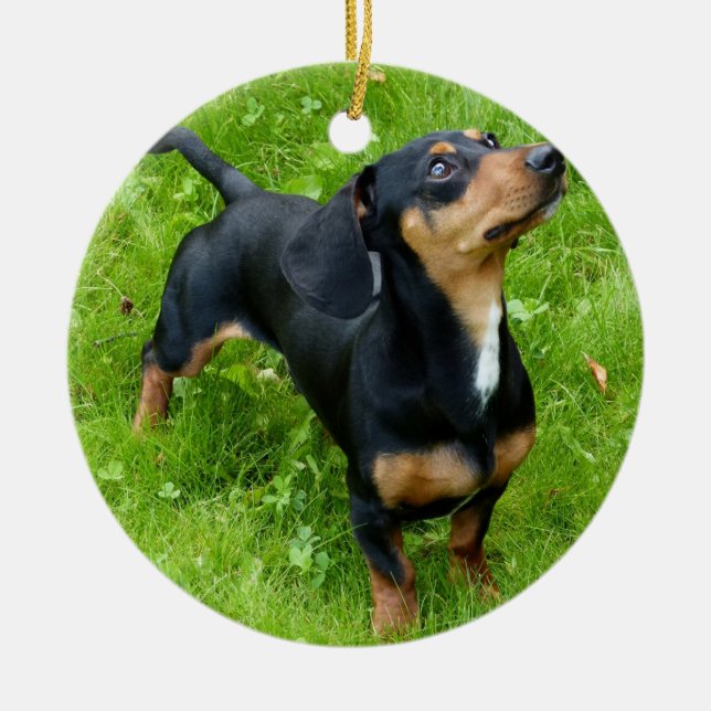 Dachshund Christmas Ornament With Your Photo (Front)