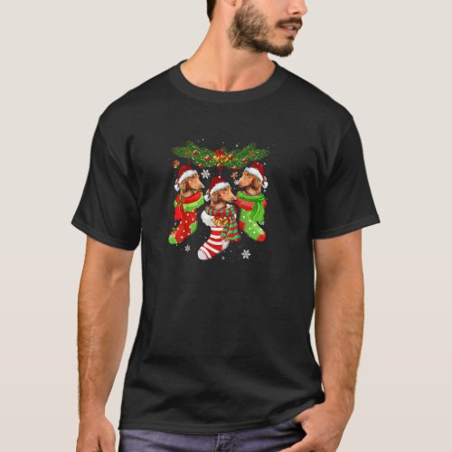Dachshund Christmas Socks Tree Light Xmas Santa Ha T_Shirt