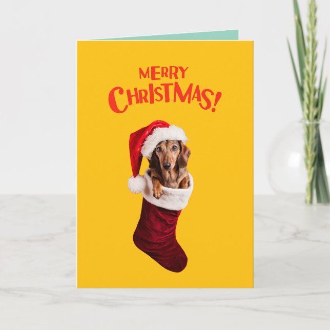 Dachshund Christmas Stocking Holiday Card (Front)