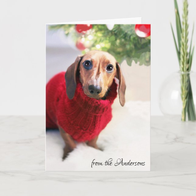 Dachshund Christmas Tree Dog Sweater Customize Holiday Card (Front)