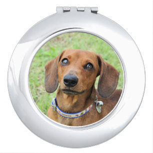 Dachshund Compact Mirror