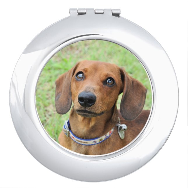 Dachshund Compact Mirror (Front)