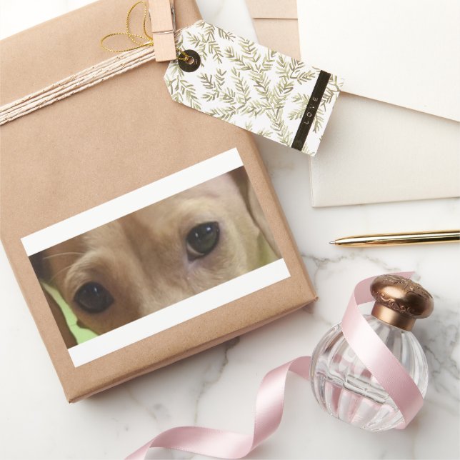 dachshund cream eyes rectangular sticker (Gifting)