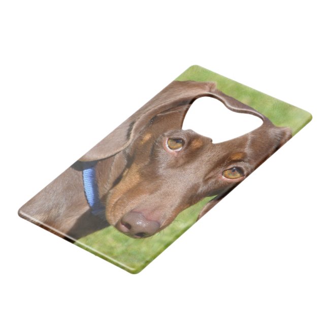Dachshund Credit Card Bottle Opener (Front Angled)