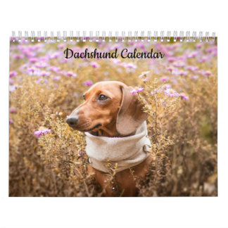Dachshund Custom Year Calendar