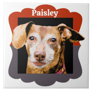 Dachshund customized pattern photo frame ceramic tile