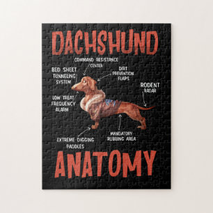 Dachshund Cute for Wiener Doxie Lovers Anatomy Jigsaw Puzzle