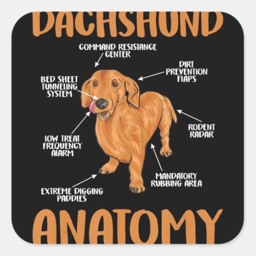 Dachshund Cute Gifts Wiener Doxie Lovers Square Sticker