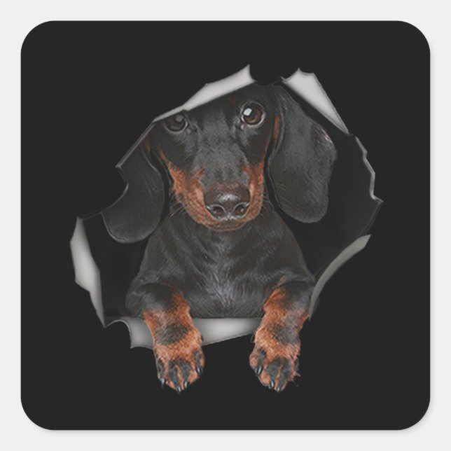 Dachshund Cute Graphic Pet Clothing Dog Lovers Square Sticker (Front)