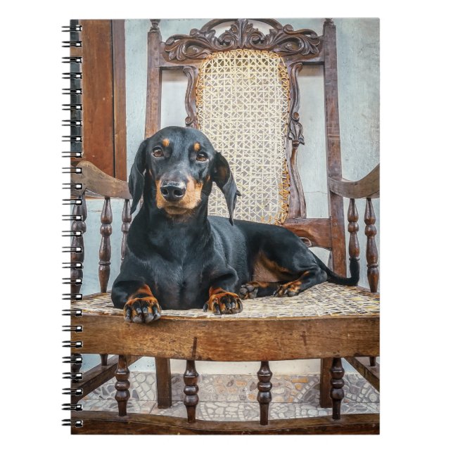Dachshund Cute Notebook (Front)