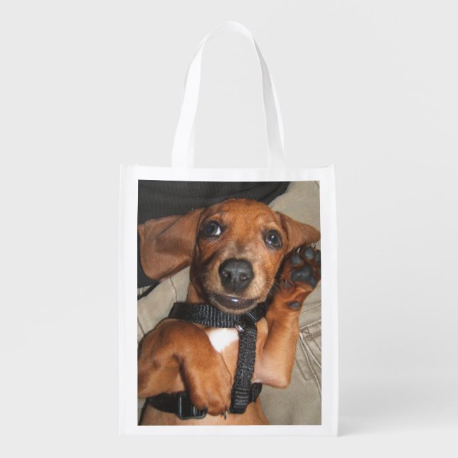 Dachshund Cute Pet Puppy Grocery Bag (Front)