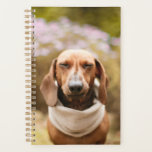 Dachshund cute planner<br><div class="desc">For all dachshund and dog lovers,  cute dachshund item with a beautiful photo by Dominika Roseclay.</div>