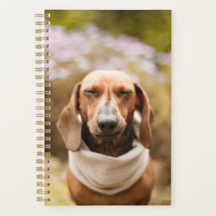 Dachshund cute planner