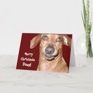 Dachshund Dawg Christmas Card