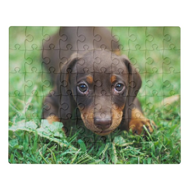 Dachshund delight jigsaw puzzle (Puzzle Horizontal)