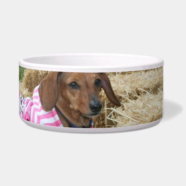 Dachshund dog bowl (Front)