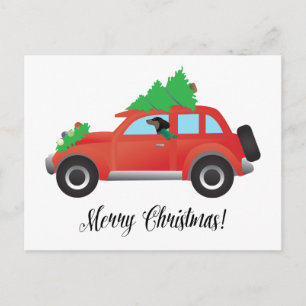 Dachshund Dog Driving Car - Christmas Tree on Top Holiday Postcard