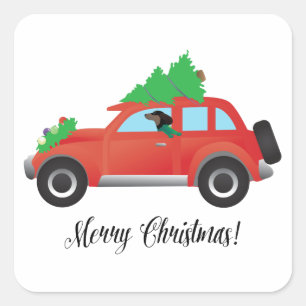 Dachshund Dog Driving Car - Christmas Tree on Top Square Sticker
