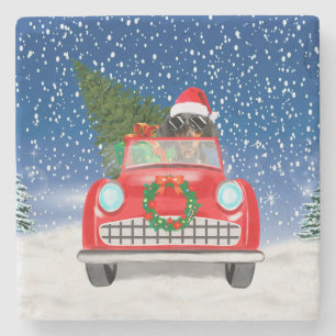 Dachshund Dog Driving Car In Snow Christmas  Stone Coaster