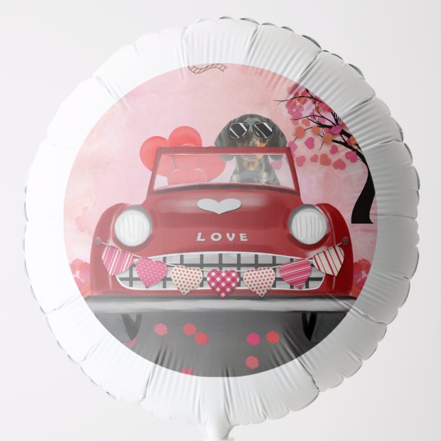 Dachshund Dog Driving Car with Hearts Valentine's  Balloon (Front)