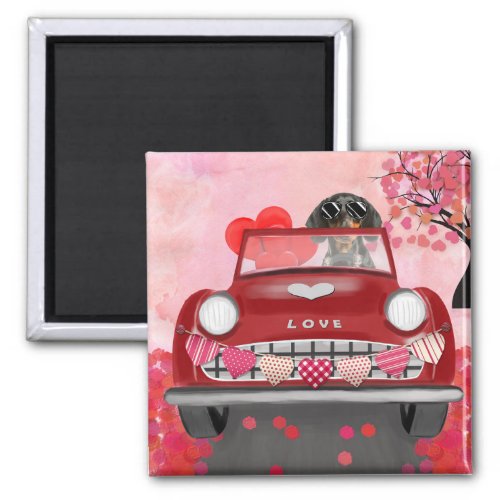Dachshund Dog Driving Car with Hearts Valentines  Magnet