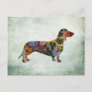Dachshund Dog Floral On Green Postcard