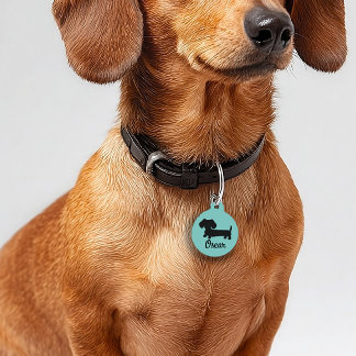 Dachshund Dog ID Tag Personalized Double Sided