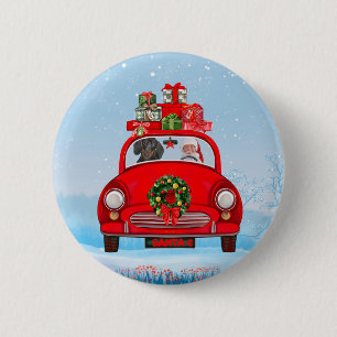Dachshund Dog In Car With Santa Claus Button