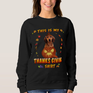 Dachshund Dog In The Pumpkin This Is My Thanksgivi Sweatshirt