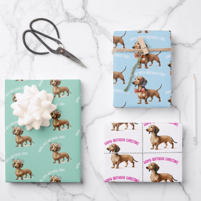 dachshund dog lover birthday celebration  wrapping paper sheets (Front)