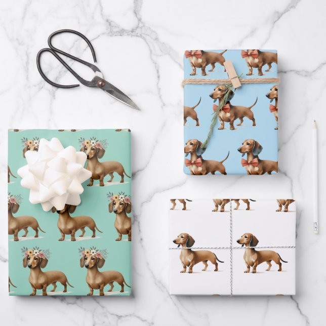 dachshund dog lover birthday celebration  wrapping paper sheets (Front)