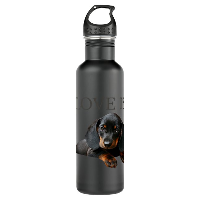 Dachshund Dog Mom Dad Men Women Kids Gift Doxie T  Stainless Steel Water Bottle (Front)