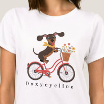 Dachshund Dog On Bike Doxycycline Cycling