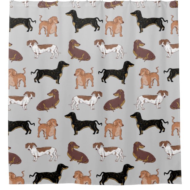 Dachshund dog pattern shower curtain (Front)
