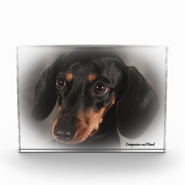 Dachshund Dog. Photo Block (Front)