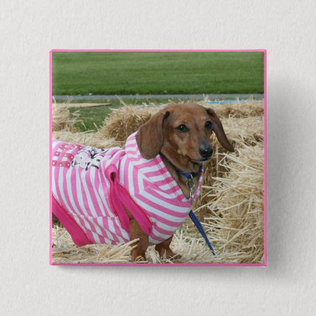 Dachshund dog pinback button (Front)